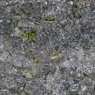 High Resolution Seamless Wall Stone Texture 0009